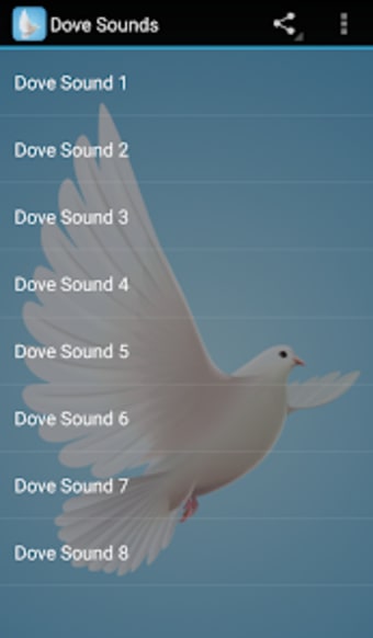 Dove Sounds