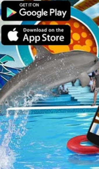 Dolphin Show Fun Free