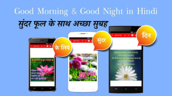 Hindi Good Morning Afternoon  Good Night Wishes