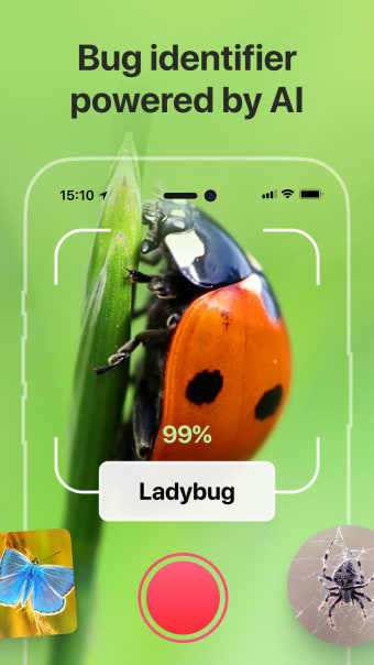 Bug Identifier: Insect Scanner