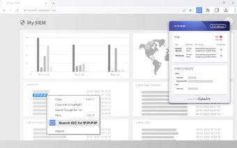 Risk Intelligence Web Extension