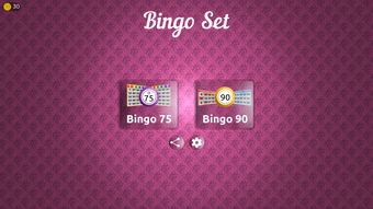 Bingo Set