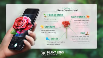 Plant Lens - Plant  Flower Identification