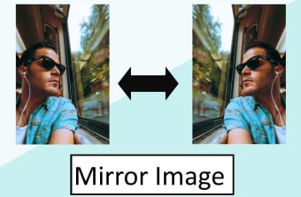 Flip Image (Crop + Mirror + Rotate)