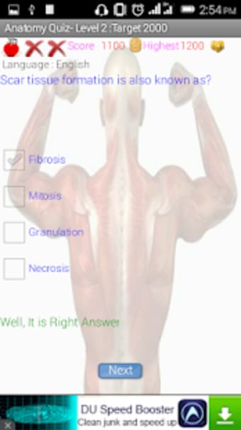 Human Anatomy - Quiz Game