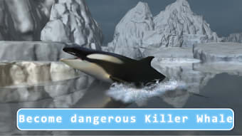 Killer Whale Orca Simulator