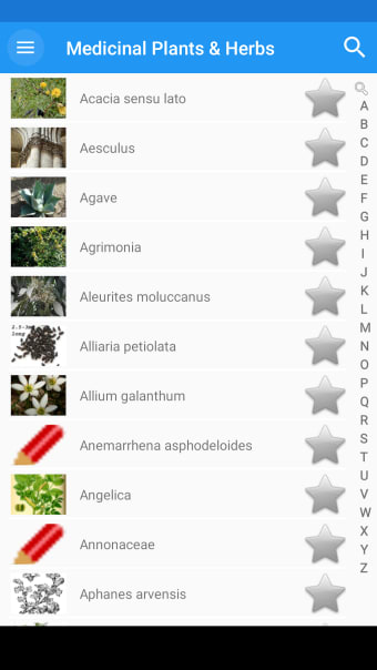 Medicinal Plants  Herbs