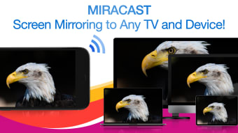 Miracast  Screen Mirror