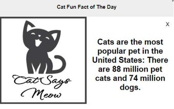 Cat Fun Facts