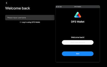 DFS Wallet