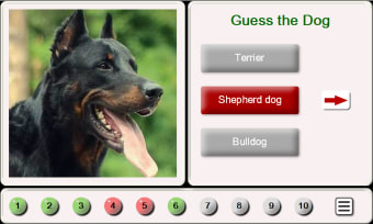 Guess the Dog: Tile Puzzles