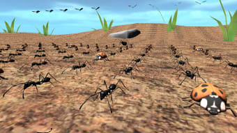 Bug Battle Simulator 3D