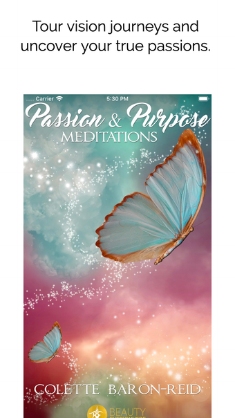 Passion  Purpose Meditations