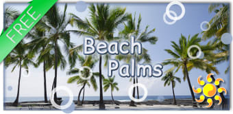 Beach Palms Live Wallpaper