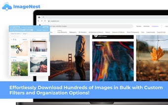 ImageNest