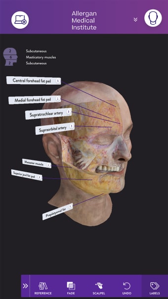 AMI Facial Anatomy and Cadaver