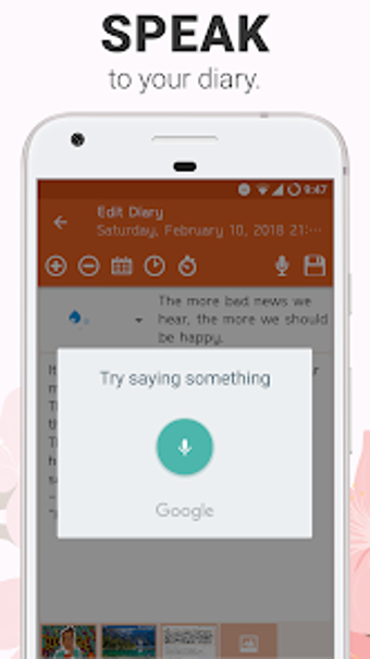 Diary with voice input  PIN.