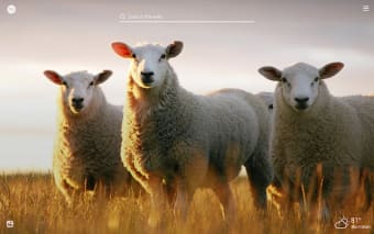 My Sheep HD Wallpapers New Tab Theme