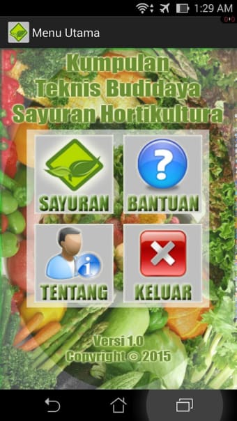 Budidaya Sayuran Hortikultura