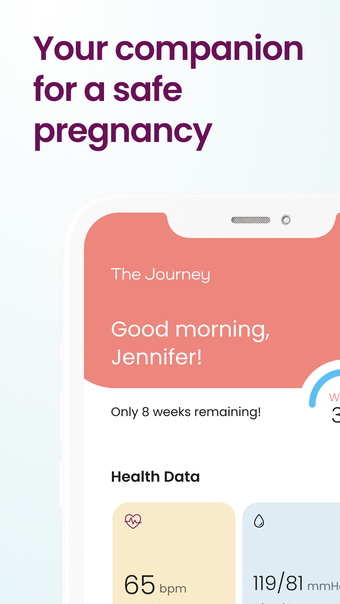 The Journey Pregnancy Tracker