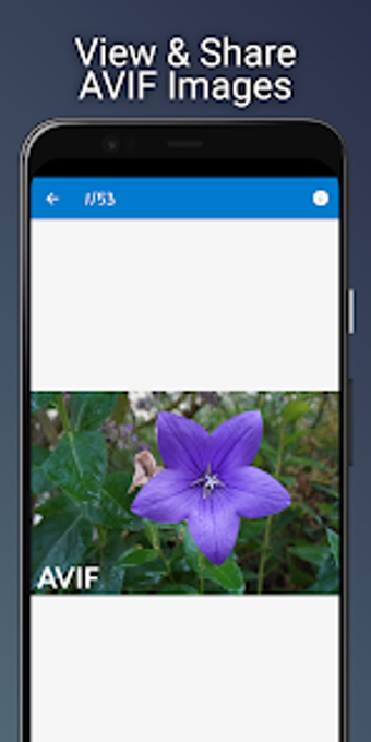 AVIF Image Viewer: AVIF to PNG