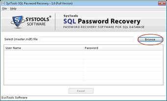 SQL Password Recovery Free Tool