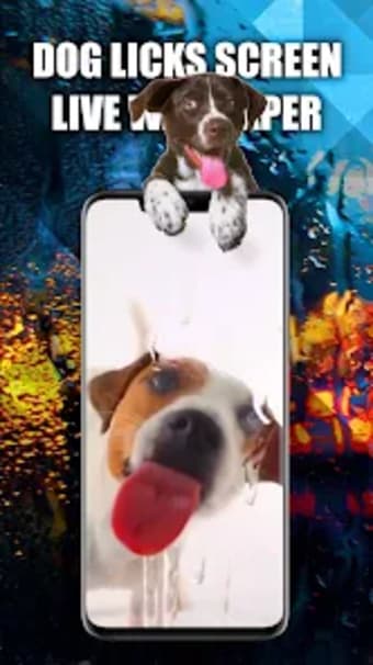 Dog Licks Screen Wallpapers 3D