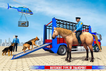 Police Dog  Horse Transport