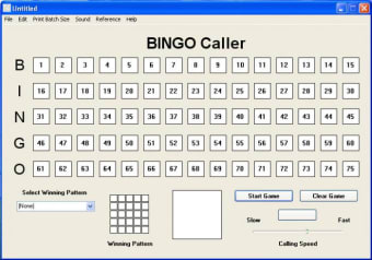 speaking bingo caller