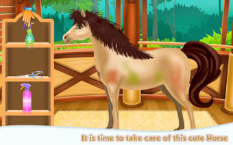 Horse Spa Caring