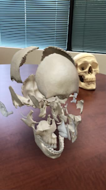 Human Anatomy Atlas 2021: Complete 3D Human Body