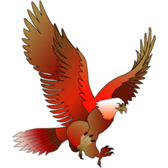 King Bird Oman  OPC89546