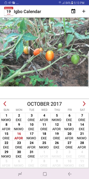 Igbo Calendar