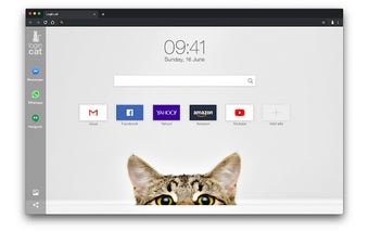 Login-cat