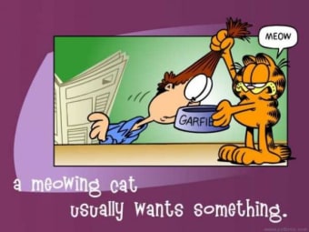 Garfield's Guide to Cats