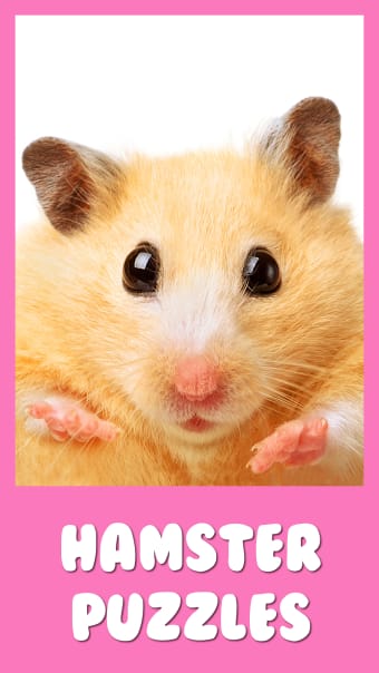 Hamster Jigsaw Puzzle Games