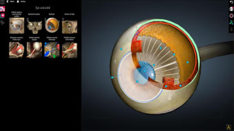AnatomyLearning 3D OFFLINE - FULL UNLOCKED