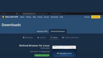 Mullvad Browser Extension (Firefox)