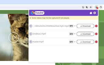 FetchV - Online video downloader extension