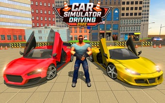 Crazy Car Driving Simulator 3D