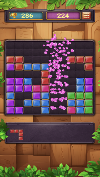 Block Puzzle Premium