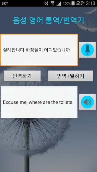 Korean to English translator