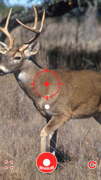 Range Finder for Hunting Deer