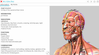 Visual Acupuncture 3D