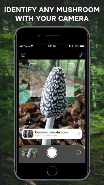 Mushroom Identification ID App