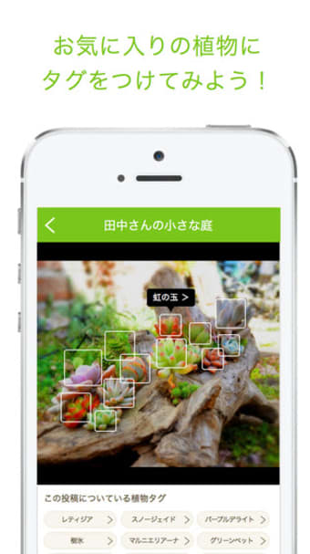 GreenSnap - 植物花の名前が判る写真共有アプリ