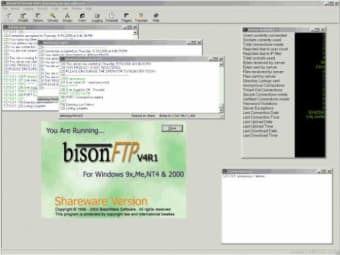 BisonFTP Server