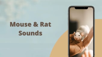 Mouse and Rat sounds