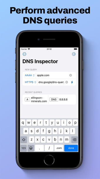 DNS Inspector