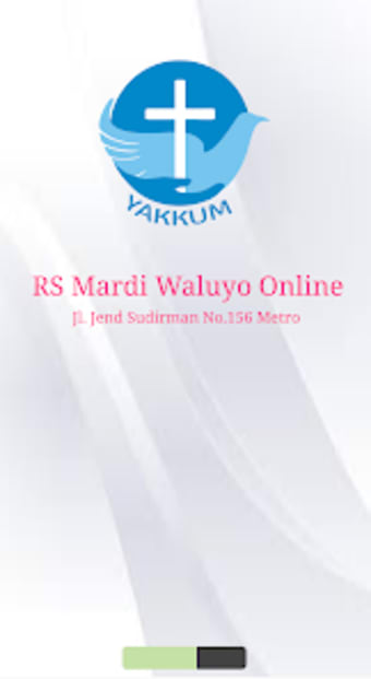 RS Mardi Waluyo Metro Online